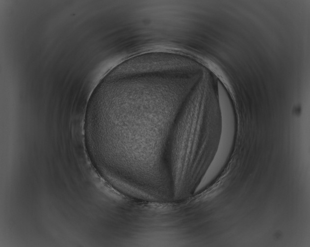 X0000091190954200708301234