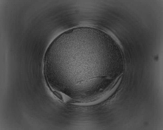 X0000091190955200708301234