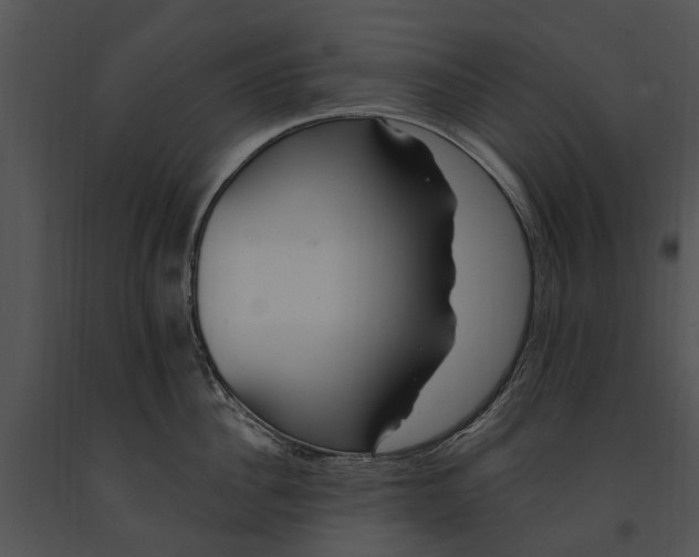 X0000091190956200708301234