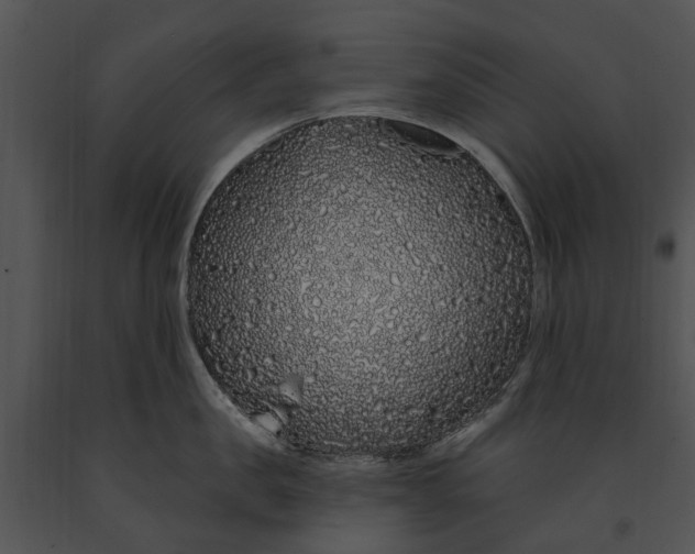 X0000091190957200708301234