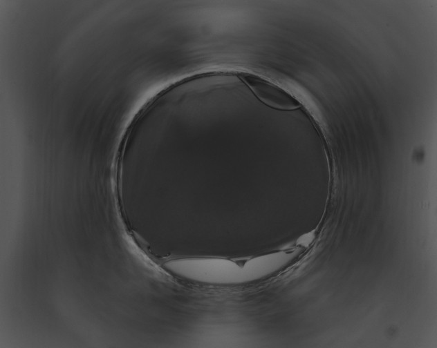 X0000091190958200708301235