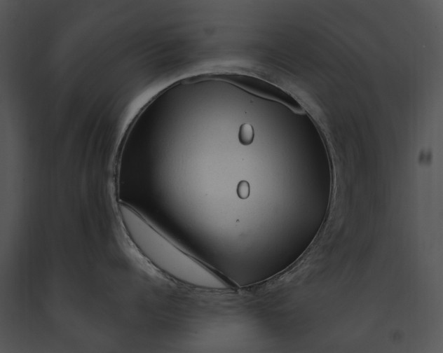 X0000091190960200708301235