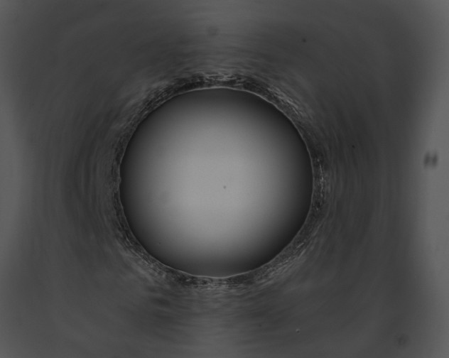 X0000091190961200708301234