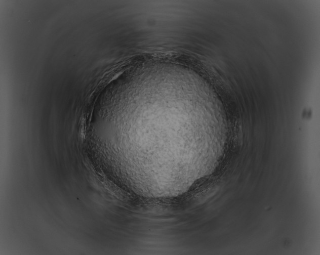 X0000091190962200708301234