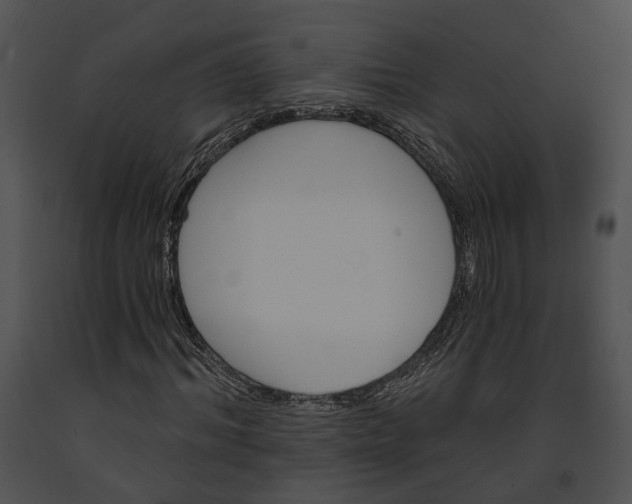 X0000091190964200708301234