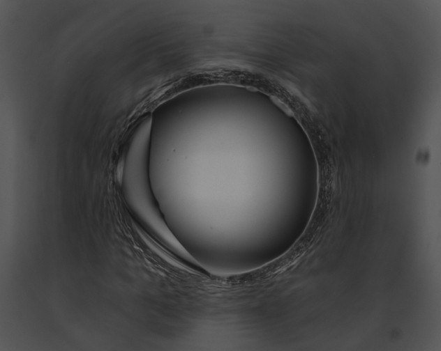 X0000091190965200708301234