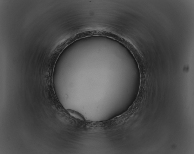 X0000091190967200708301234