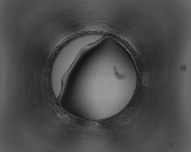 X0000091190968200708301234