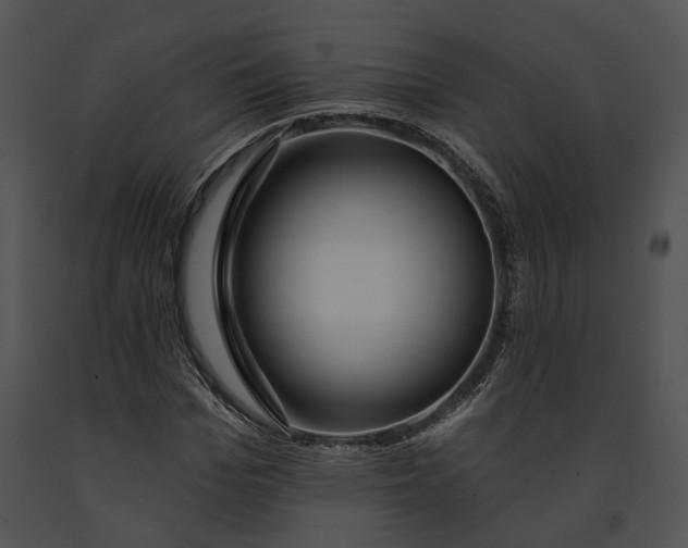 X0000091190969200708301234