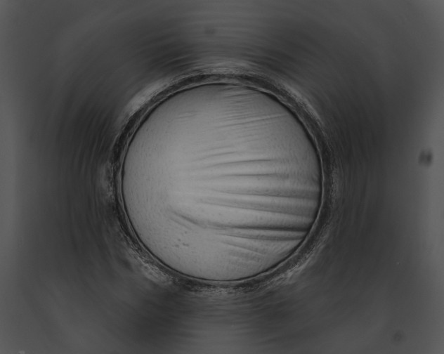 X0000091190970200708301234