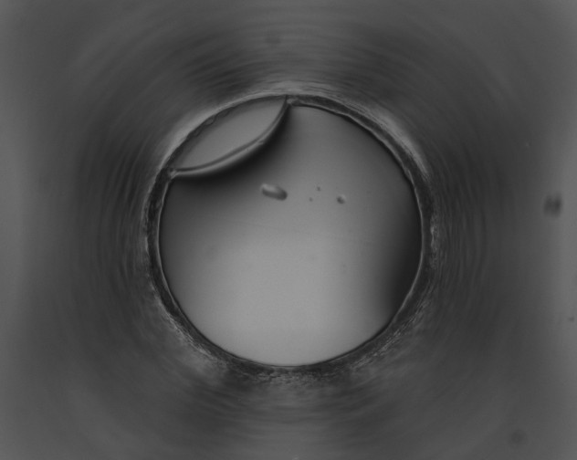 X0000091190972200708301234