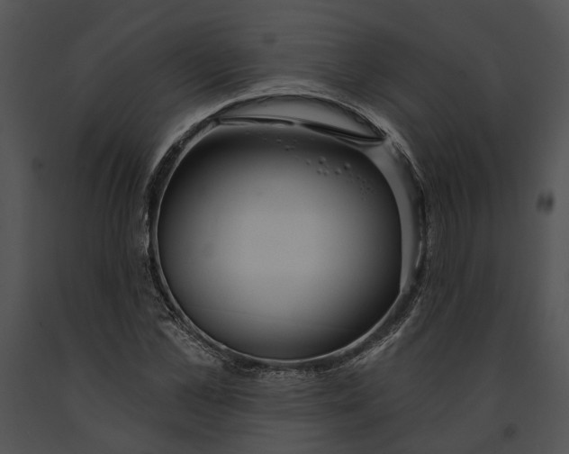 X0000091190973200708301234