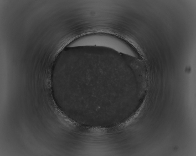 X0000091190977200708301234