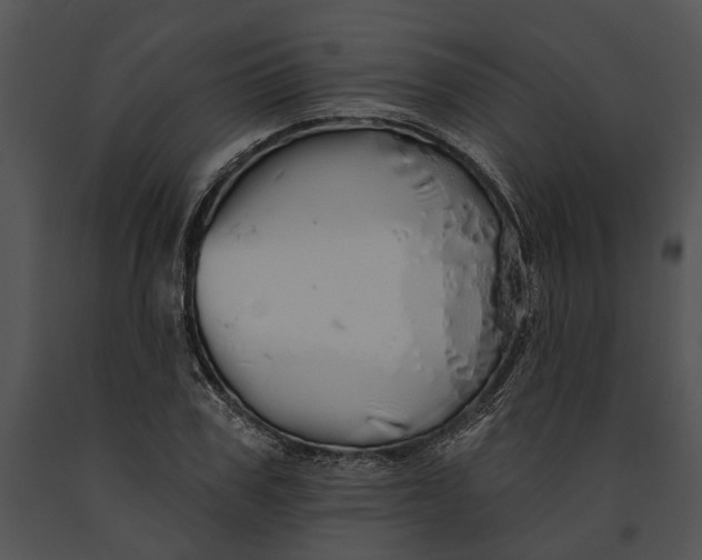 X0000091190979200708301234