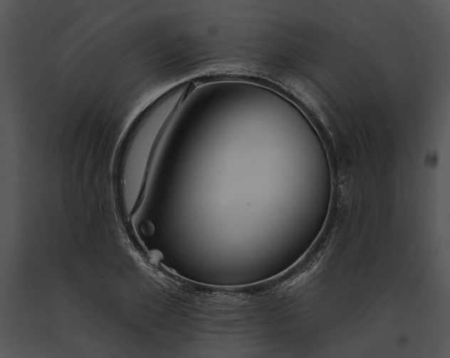 X0000091190981200708301234