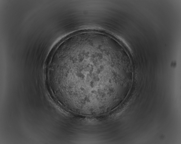 X0000091190983200708301233