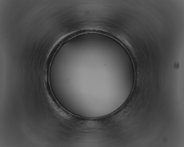 X0000091190984200708301233