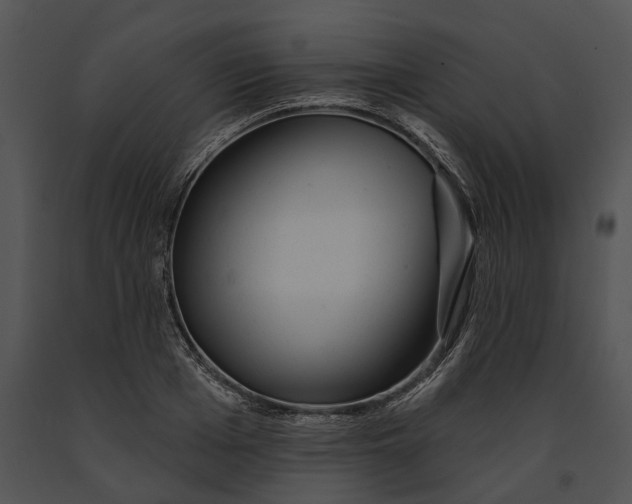 X0000091190985200708301233