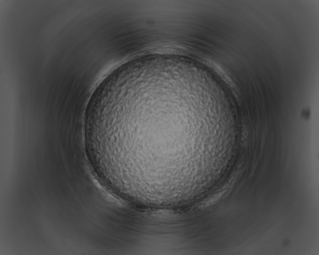 X0000091190986200708301233