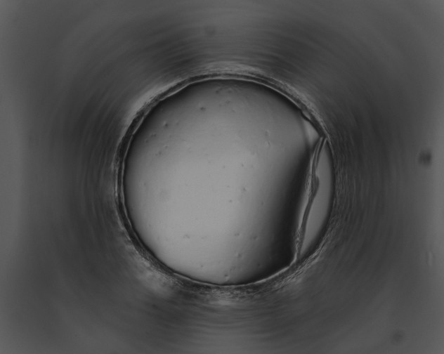 X0000091190987200708301233