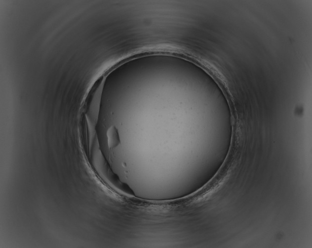 X0000091190989200708301233