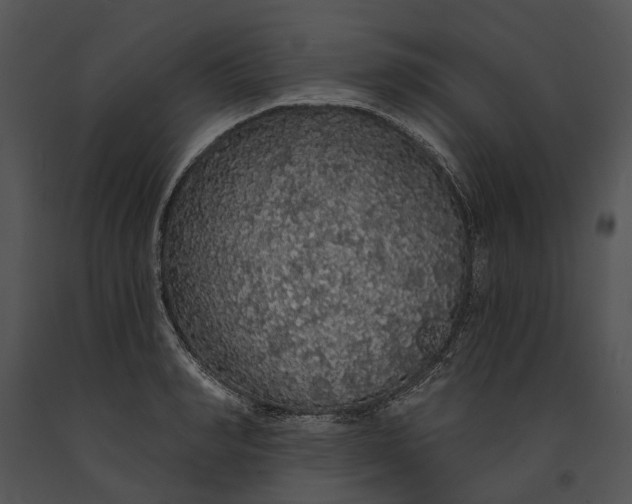 X0000091190990200708301233