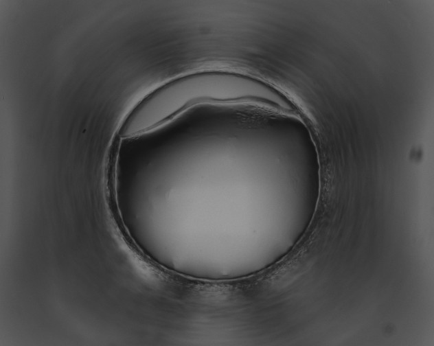 X0000091190991200708301233