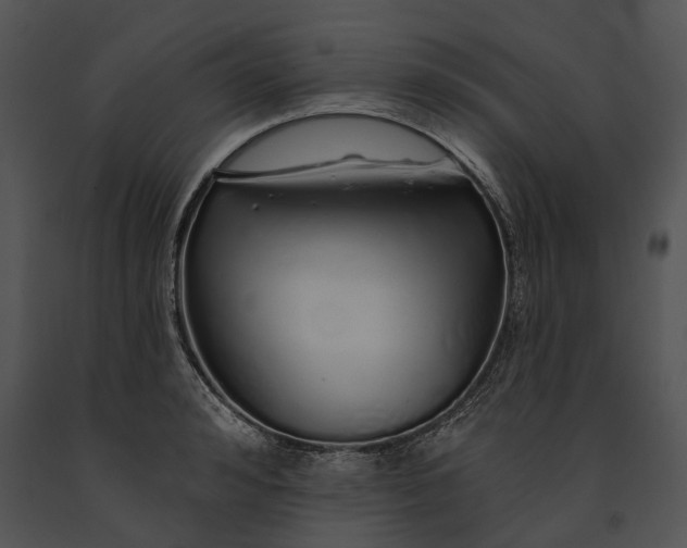 X0000091190992200708301233