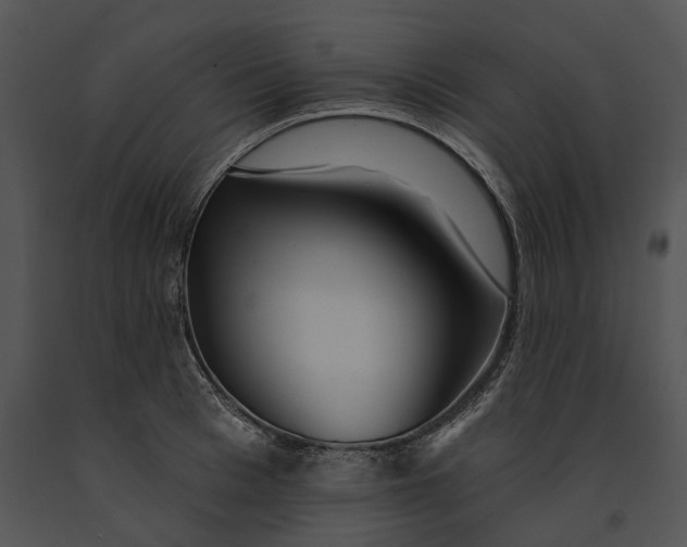 X0000091190993200708301233