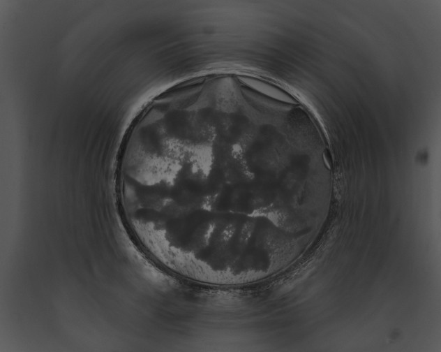 X0000091190995200708301233