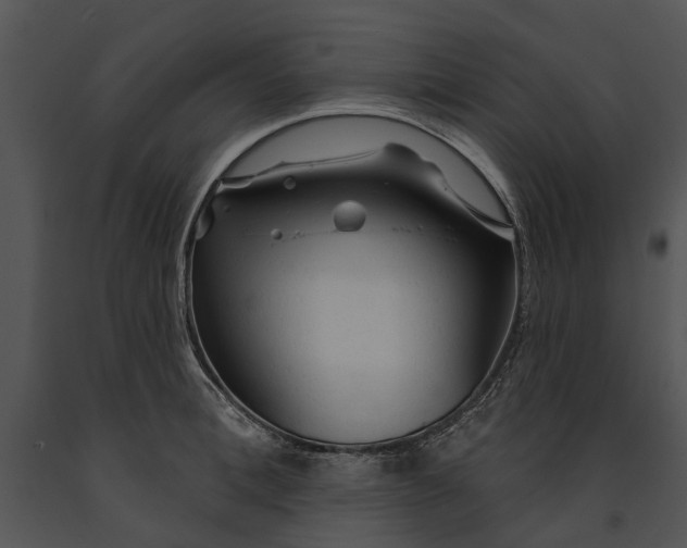 X0000091190996200708301233