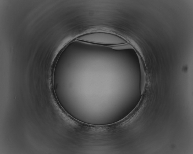 X0000091190997200708301233