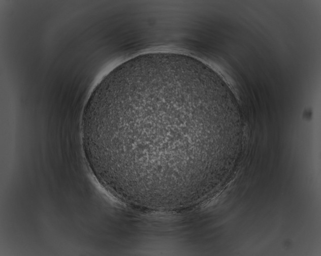 X0000091190998200708301233