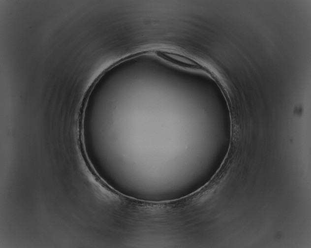 X0000091190999200708301233