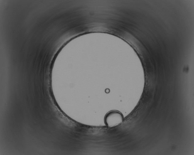 X0000091191000200708301233