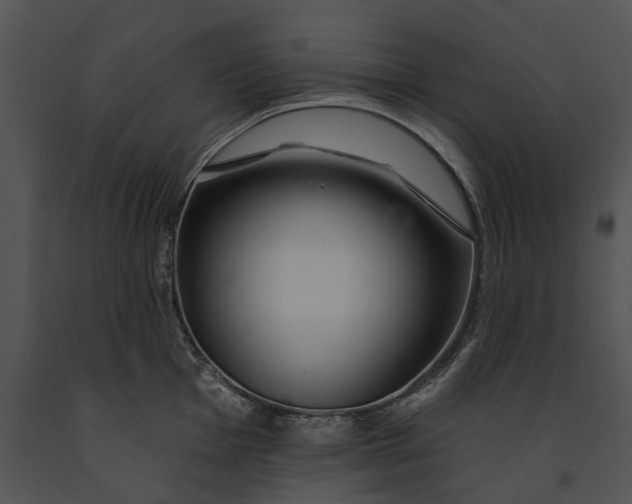 X0000091191001200708301233