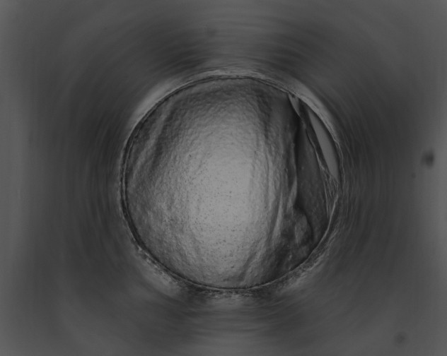 X0000091191002200708301233