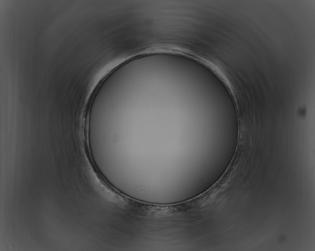 X0000091191003200708301233