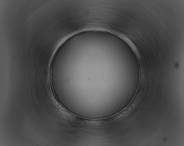 X0000091191004200708301233