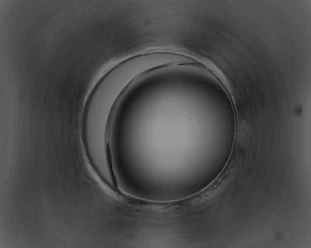 X0000091191005200708301233