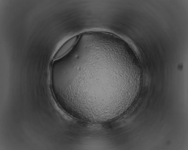 X0000091191006200708301233