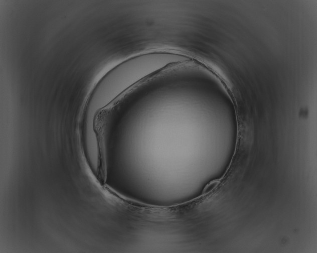 X0000091191007200708301233