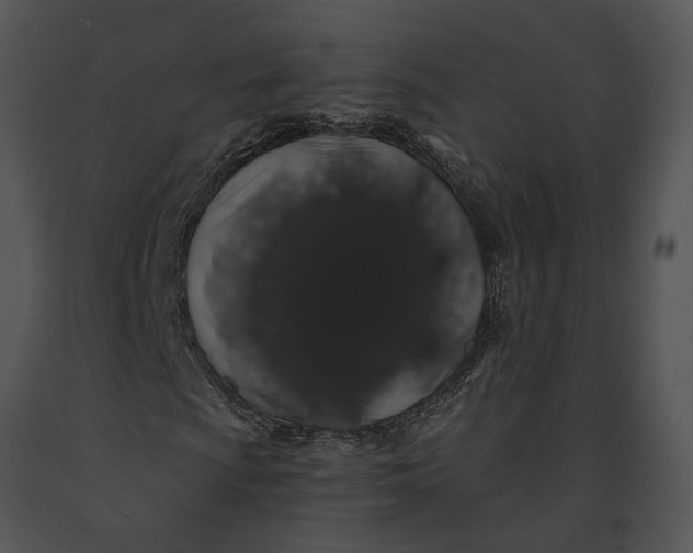 X0000091191009200708301232