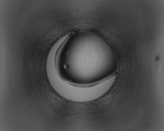 X0000091191010200708301232