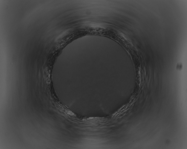 X0000091191013200708301232