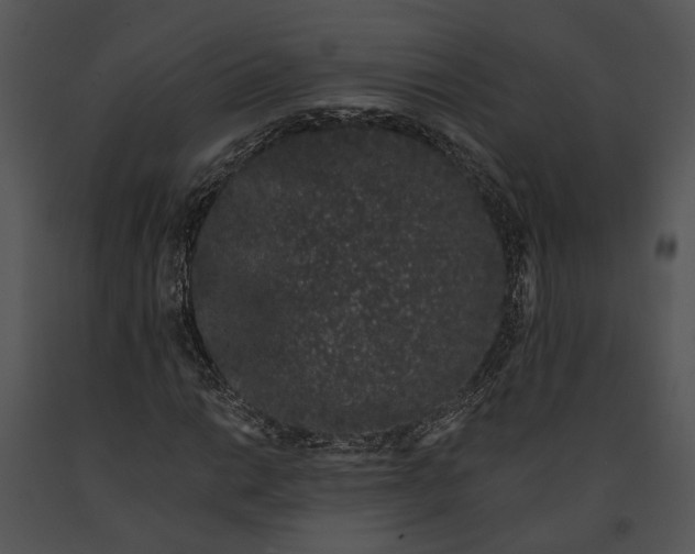 X0000091191014200708301232