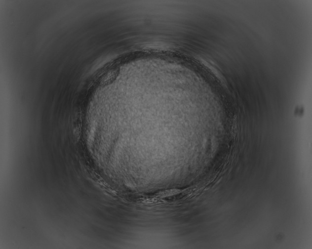 X0000091191015200708301232