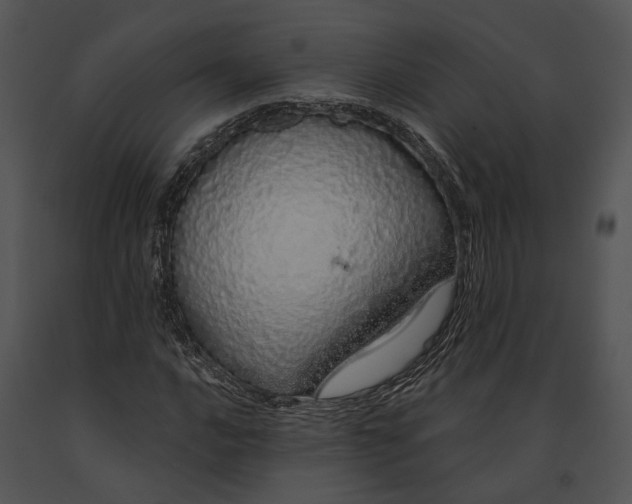 X0000091191016200708301232