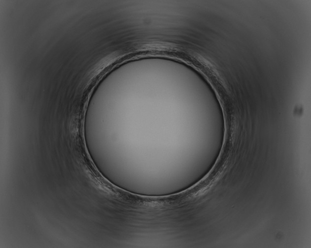 X0000091191017200708301233