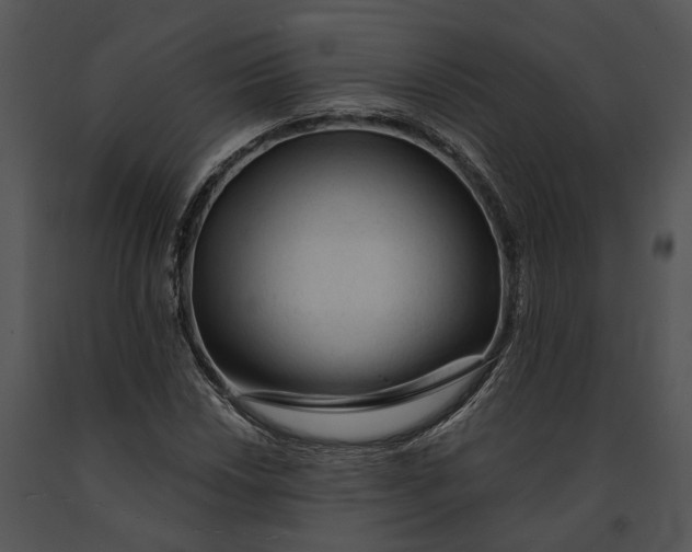 X0000091191018200708301233